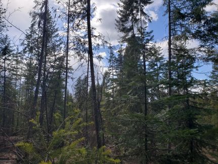 Property in Stevens County, Washington