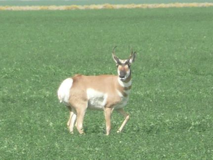 Property for sale in Lake County, Oregon