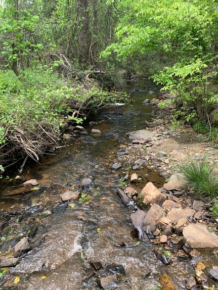 Property in Chesterfield County, South Carolina