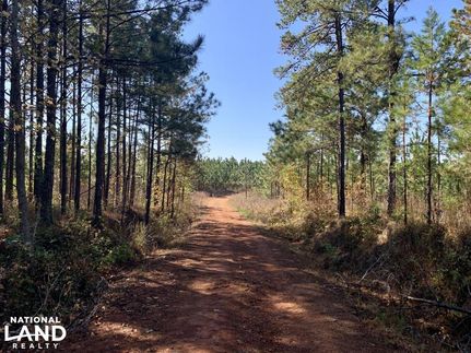 Property in Tallapoosa County, Alabama