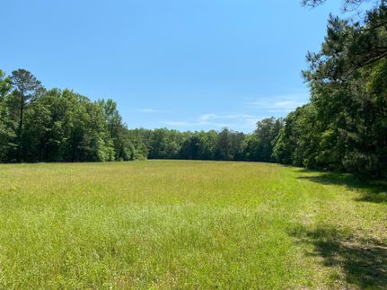 Property in Russell County, Alabama