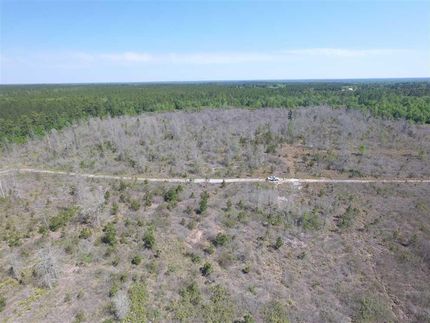 Property in Wayne County, Georgia