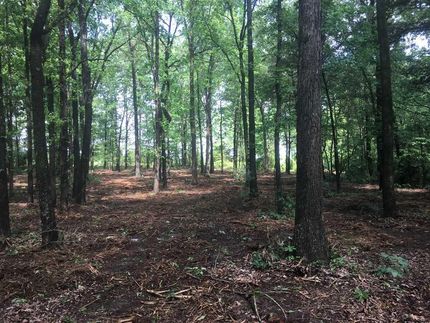 Property in Sharp County, Arkansas