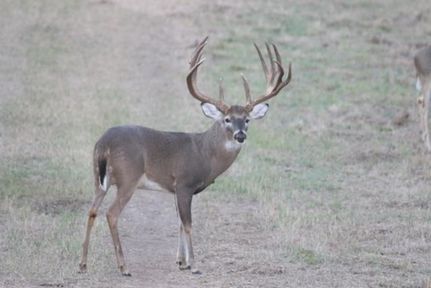 Property in Atascosa County, Texas