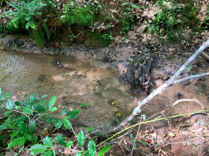 Property in Spartanburg County, South Carolina