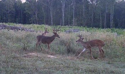 Property in Jefferson County, Mississippi