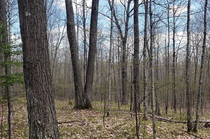 Property in Forest County, Wisconsin