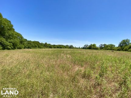 Property in Houston County, Alabama