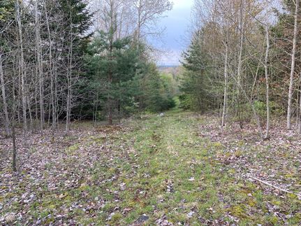 Property in Indiana County, Pennsylvania