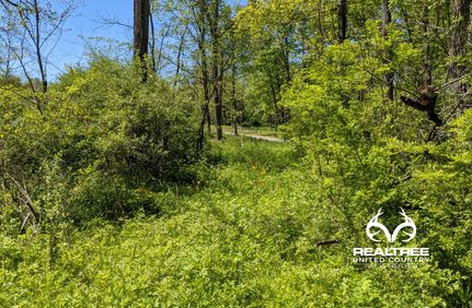 Property in Muskingum County, Ohio