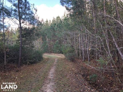 Property in Florence County, South Carolina