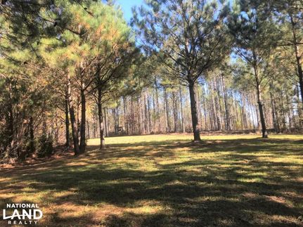 Property in Tuscaloosa County, Alabama