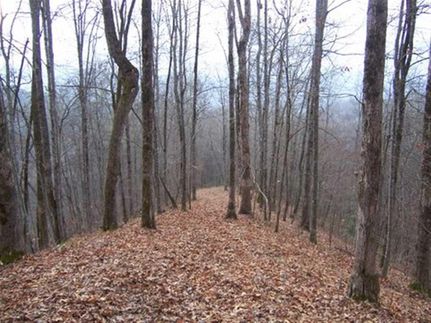 Property in Graham County, North Carolina