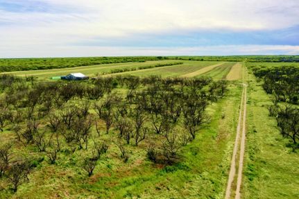Property in Throckmorton County, Texas
