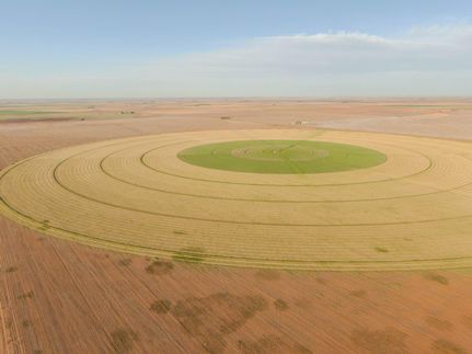 Property in Parmer County, Texas