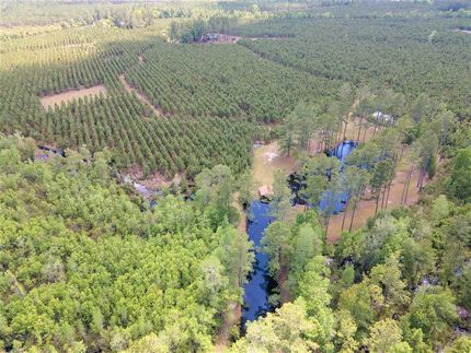 Property in Clinch County, Georgia