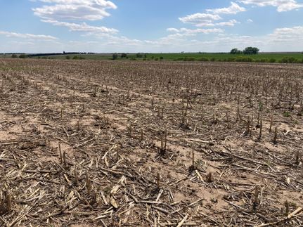 Property in Webster County, Nebraska