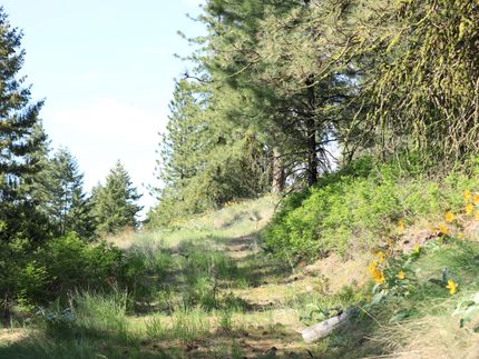 Property in Stevens County, Washington