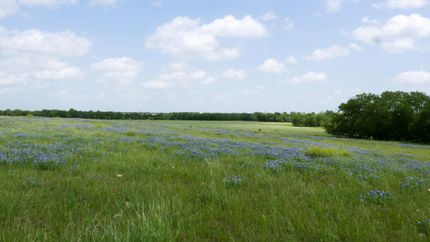 Property in Milam County, Texas