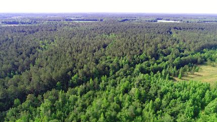 Property in Clarendon County, South Carolina