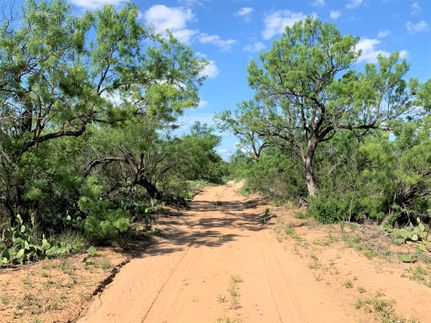 Property in Dimmit County, Texas