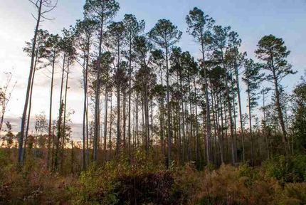 Property in Darlington County, South Carolina