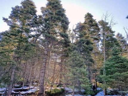 Property in Huerfano County, Colorado