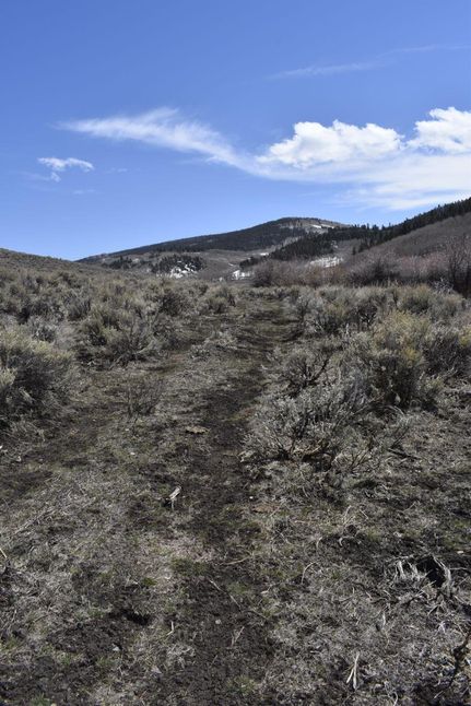 Property in Shasta County, California