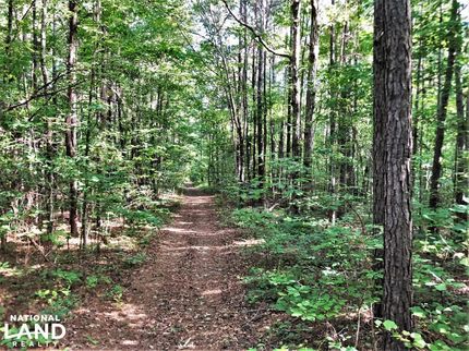 Property in Tuscaloosa County, Alabama