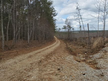 Property in Clay County, Alabama