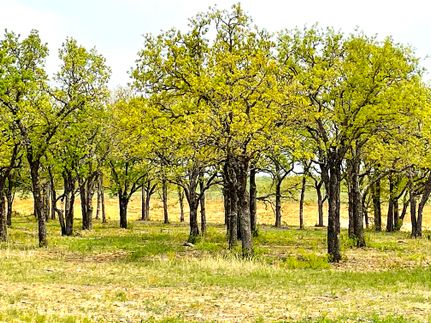 Property in Parker County, Texas