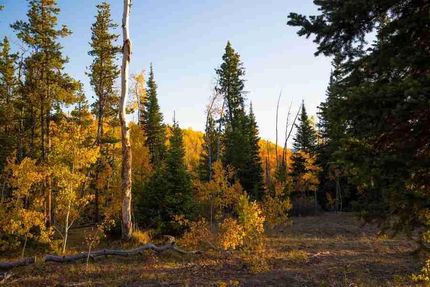 Property in Routt County, Colorado