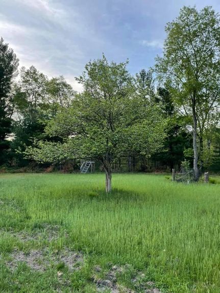 Property in Osceola County, Michigan