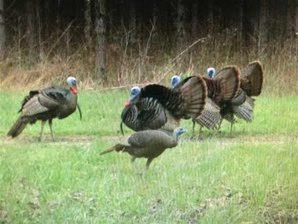 Property in Monroe County, Mississippi