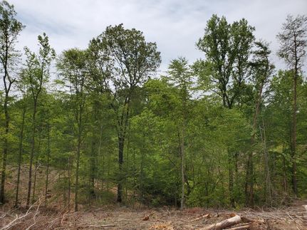 Property in Fluvanna County, Virginia