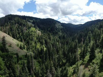 Property in Walla Walla County, Washington