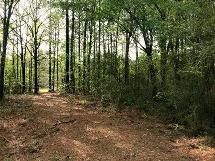 Property in Forrest County, Mississippi