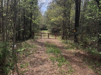 Property in Liberty County, Georgia