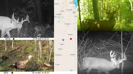 Property in Iroquois County, Illinois