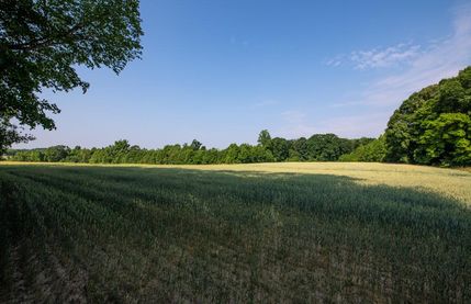 Property in Orange County, North Carolina