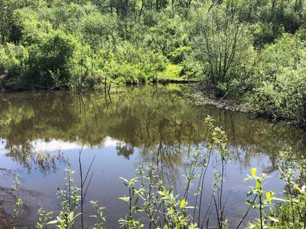 Property in Otsego County, New York