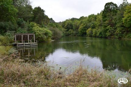 Property in Vermilion County, Illinois