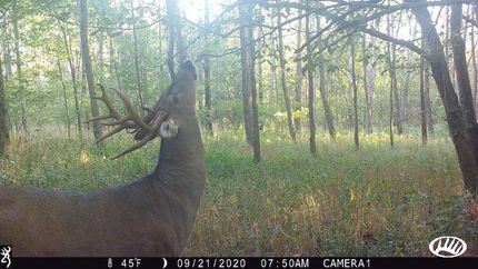 Property in Wayne County, Illinois