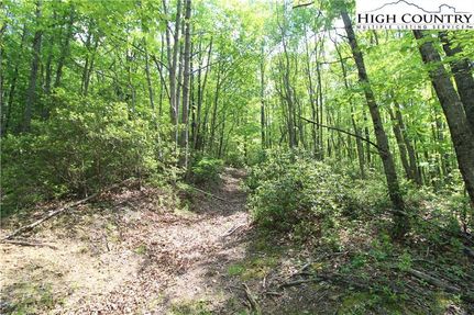 Property in Ashe County, North Carolina