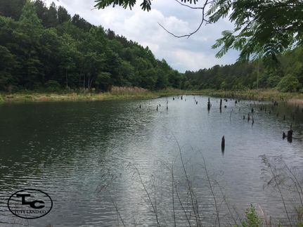 Property in Tuscaloosa County, Alabama