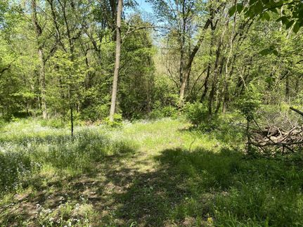 Property in Washington County, Illinois