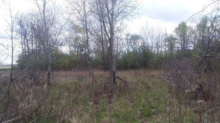 Property in Saint Clair County, Michigan