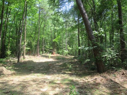 Property in Tallapoosa County, Alabama