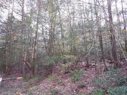 Property in Hampden County, Massachusetts