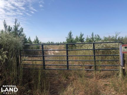 Property in Scotland County, North Carolina